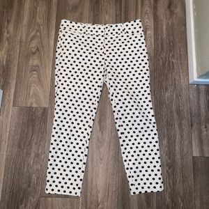 Polka Dotted Capri Slacks
